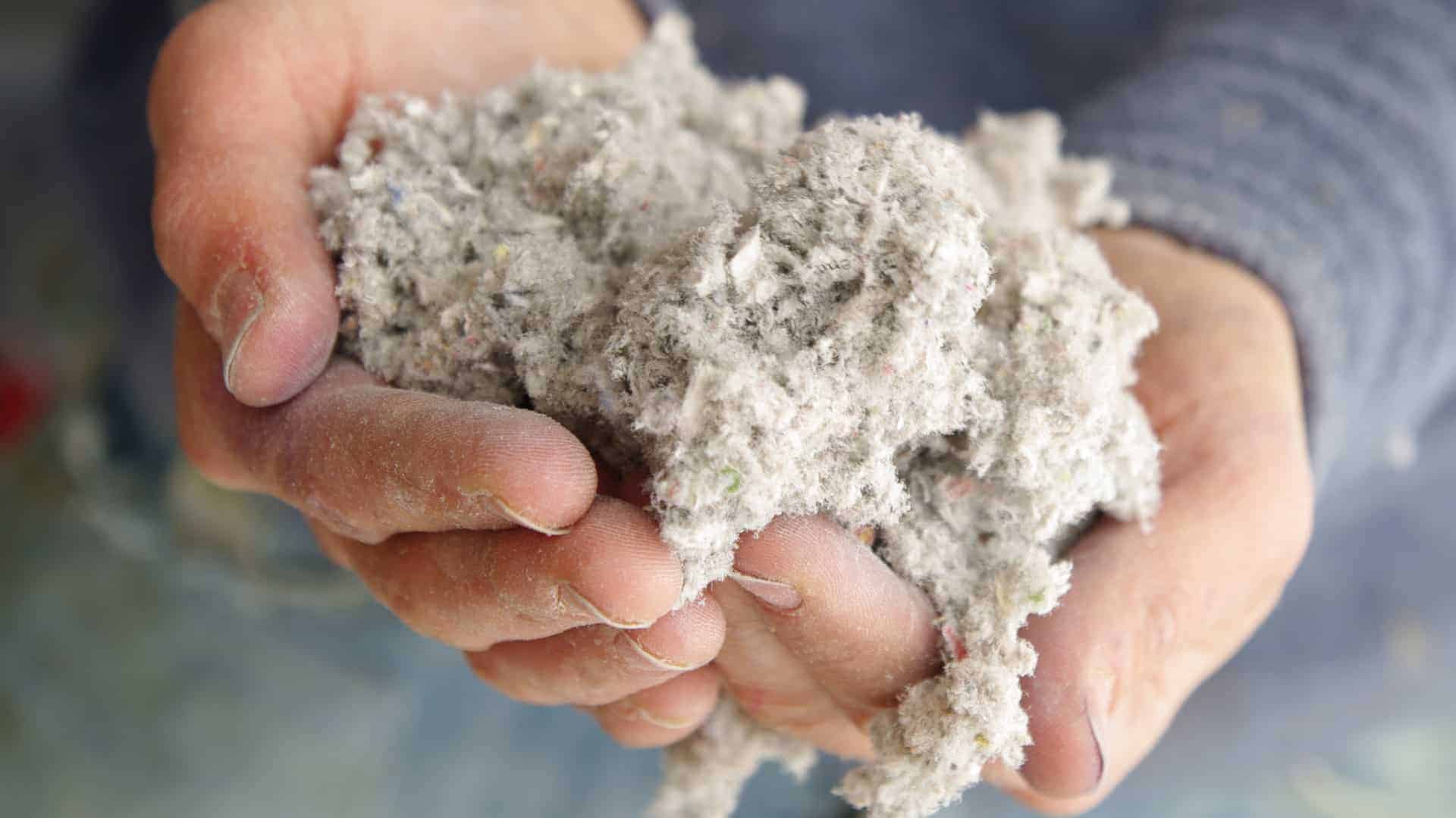 włókna celulozy trzymane w dłoni